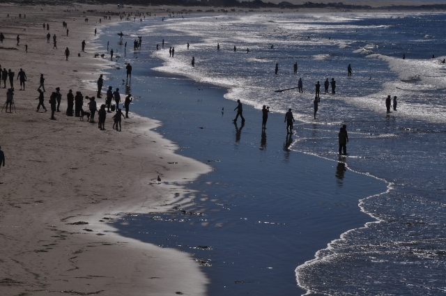 Pismo Beach shoreline